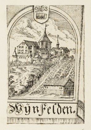 Grafik: Schloss Weinfelden mit Rebhang von Südosten